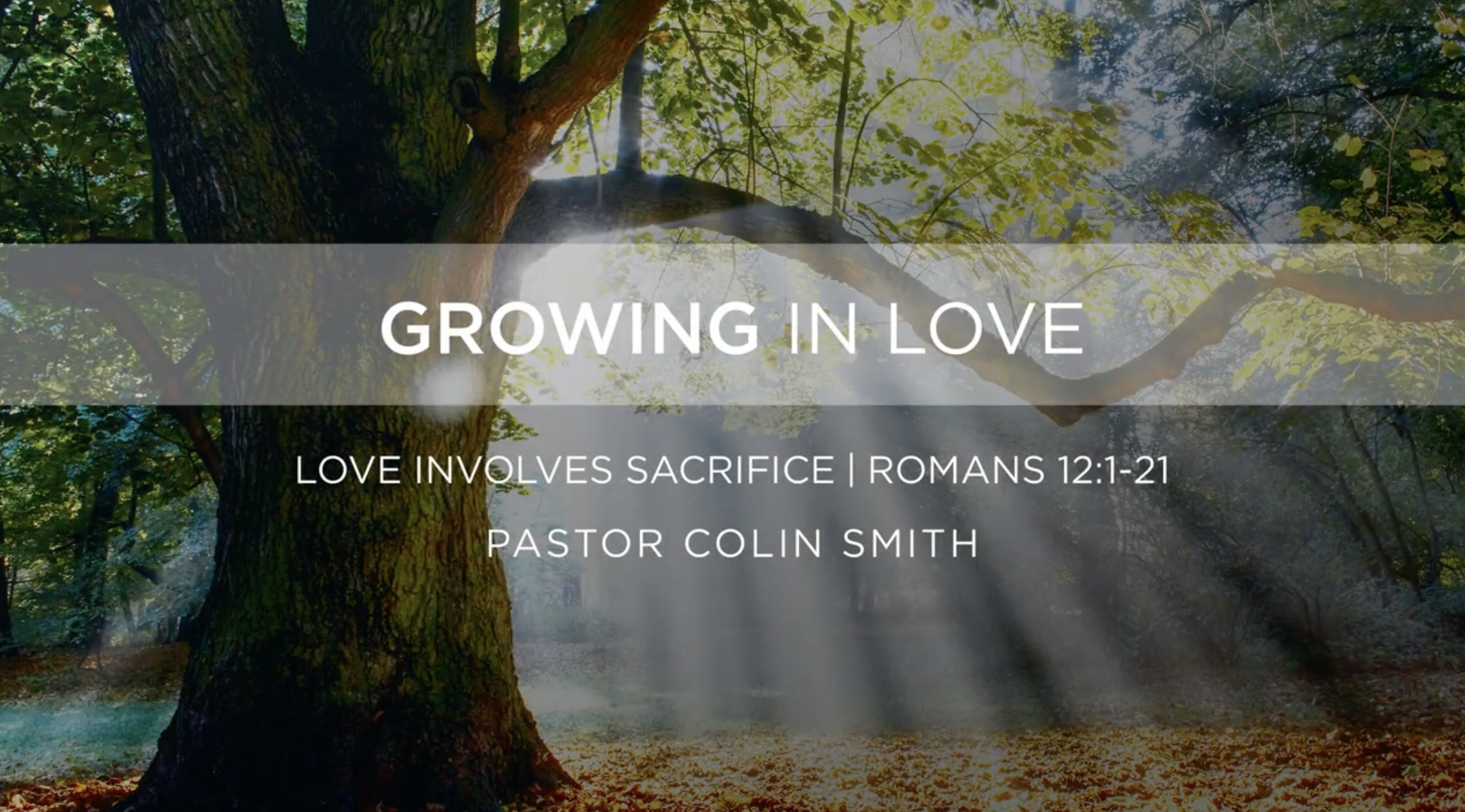 Screenshot 2026-02-27 at 10.57.45 AM